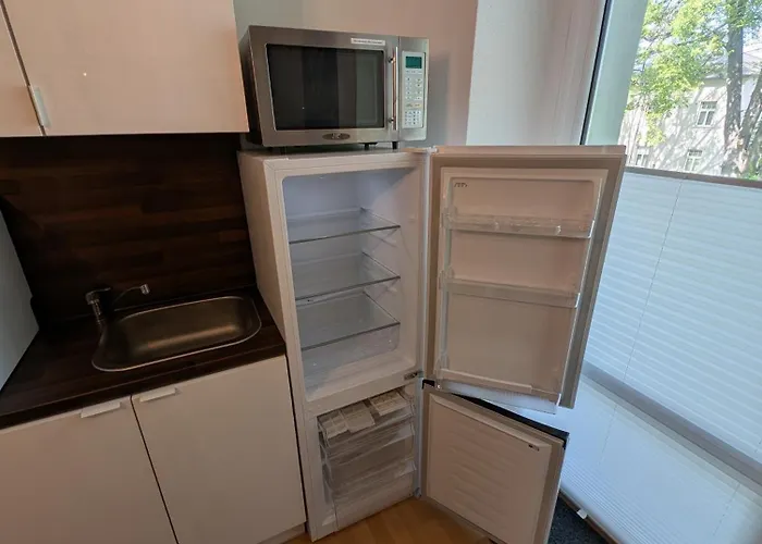 Helles Mit Arbeitsplatz Und Balkon Apartment Chemnitz